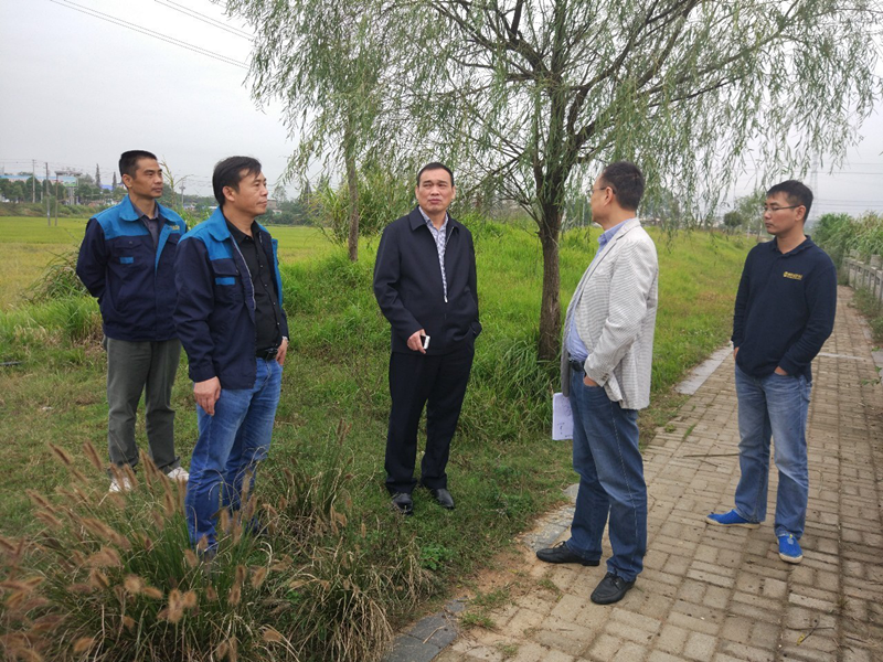 桑海產(chǎn)業(yè)園領導實地察看金力公司代建重點項目