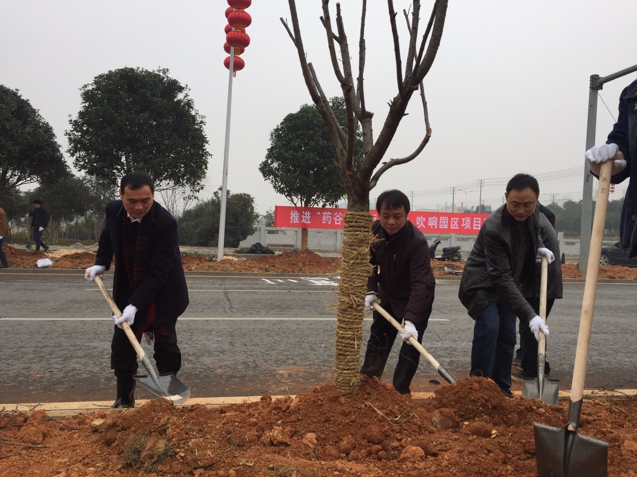 植樹團拜賀新春 項目開工促發(fā)展