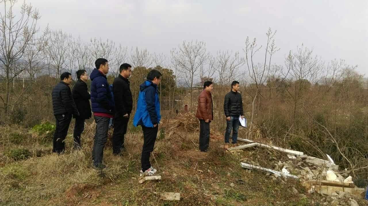 協調解決問題 力促項目提速