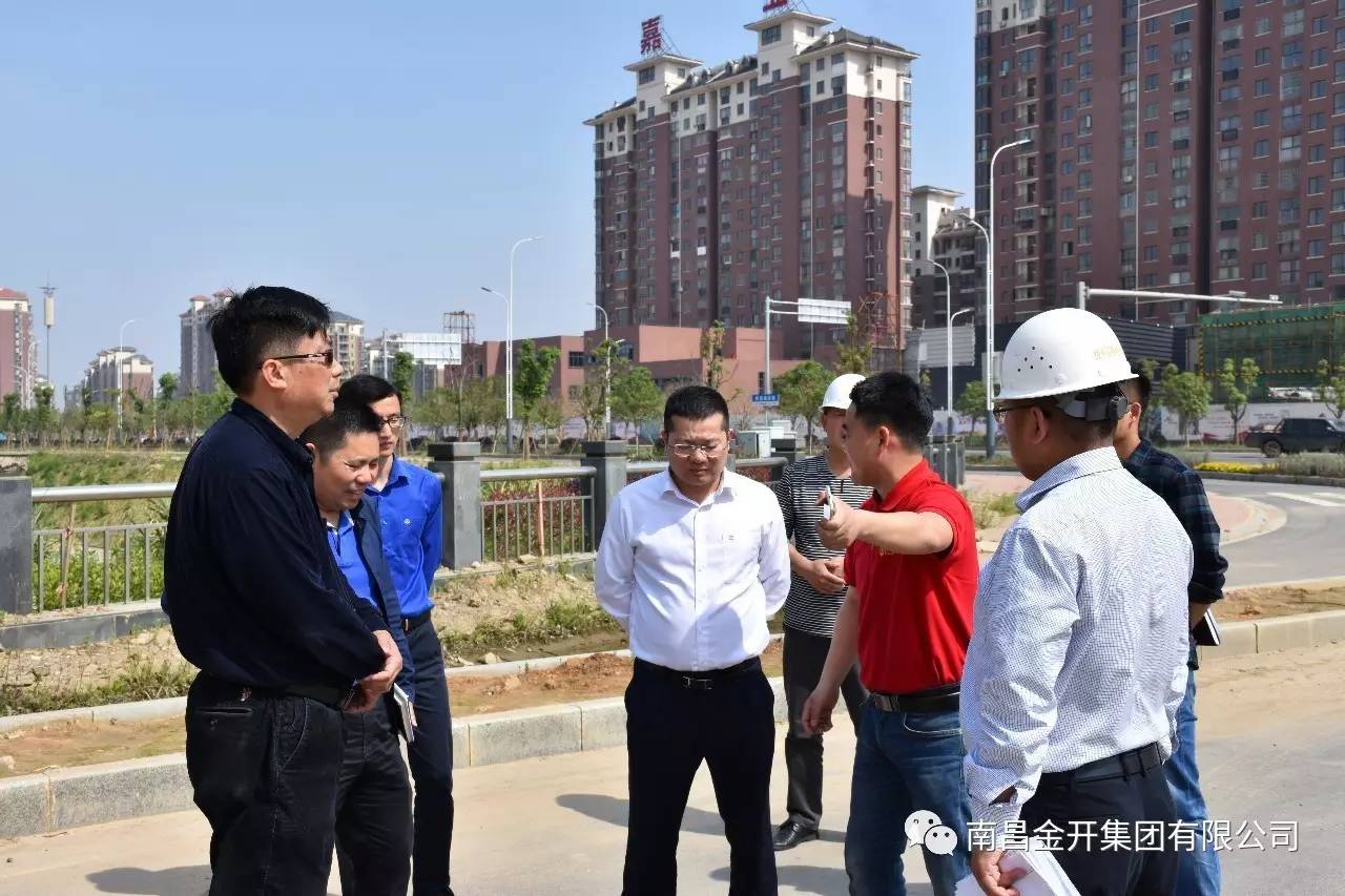 金開集團高管深入在建重大、重點項目進行調研